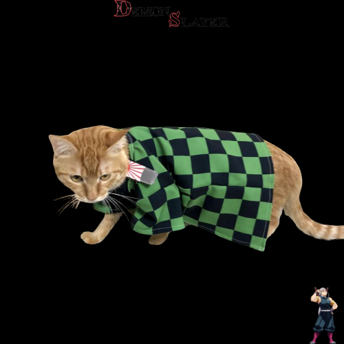 Cosplay chat Demon Slayer personnages au choix