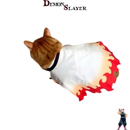 Cosplay pour chat Demon Slayer Kyojuro Rengoku, tailles S, M, L, XL
