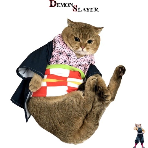 Cosplay Demon Slayer pour chat, version Nezuko