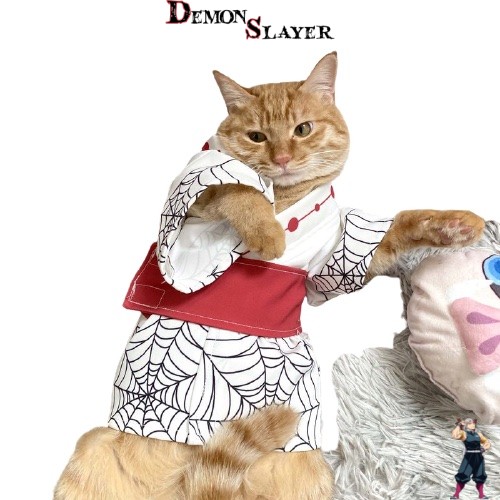 Cosplay Demon Slayer pour chat, édition Rui
